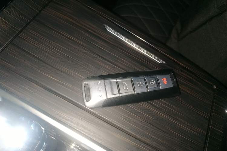 Used Wey Latte DHT-PHEV 2022 1.5T Two-Wheel-Drive Extra-Large Version Vehicle Key