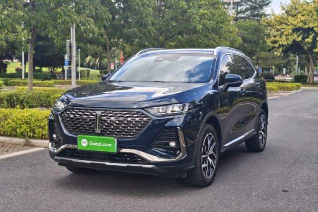 Used Wey Latte DHT-PHEV 2022 1.5T Four-Wheel Drive Extra-Large Version
