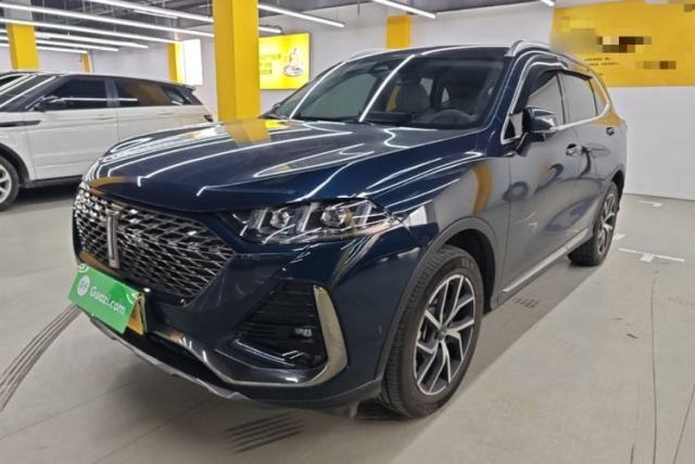 Used Wey Latte DHT-PHEV 2022 1.5T Four-Wheel Drive Extra-Large Version
