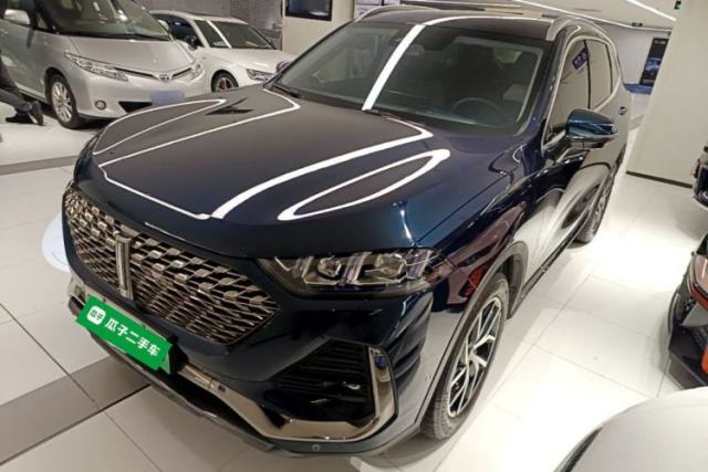 Used Wey Latte DHT-PHEV 2022 1.5T Four-Wheel Drive Extra-Large Version