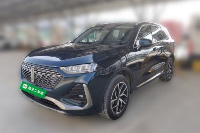 Used Wey Latte DHT-PHEV 2022 1.5T Four-Wheel Drive Extra-Large Version