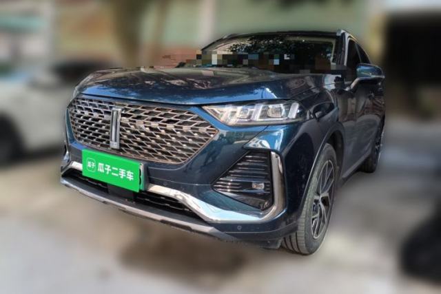 Used Wey Latte DHT-PHEV 2022 1.5T Two-Wheel-Drive Extra-Large Version