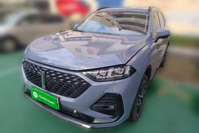 Used Wey Latte DHT-PHEV 2022 1.5T Two-Wheel-Drive Extra-Large Version