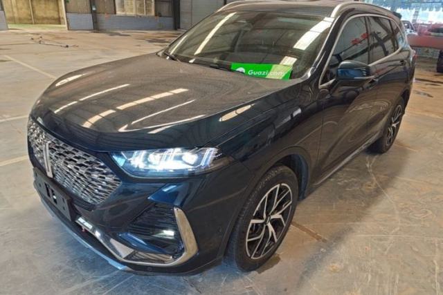 Used Wey Latte DHT-PHEV 2022 1.5T Two-Wheel-Drive Extra-Large Version