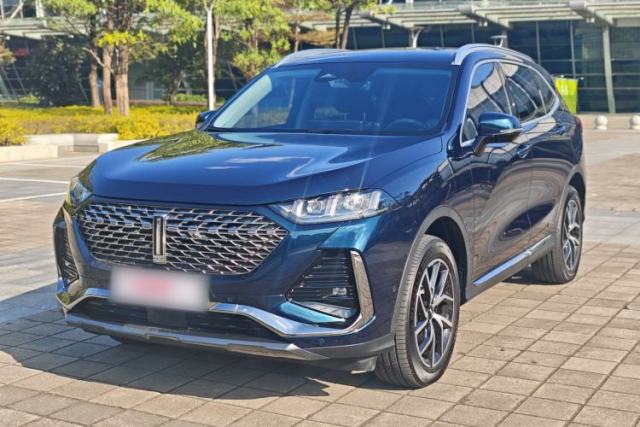 Used Wey Latte DHT-PHEV 2022 1.5T Four-Wheel Drive Extra-Large Version