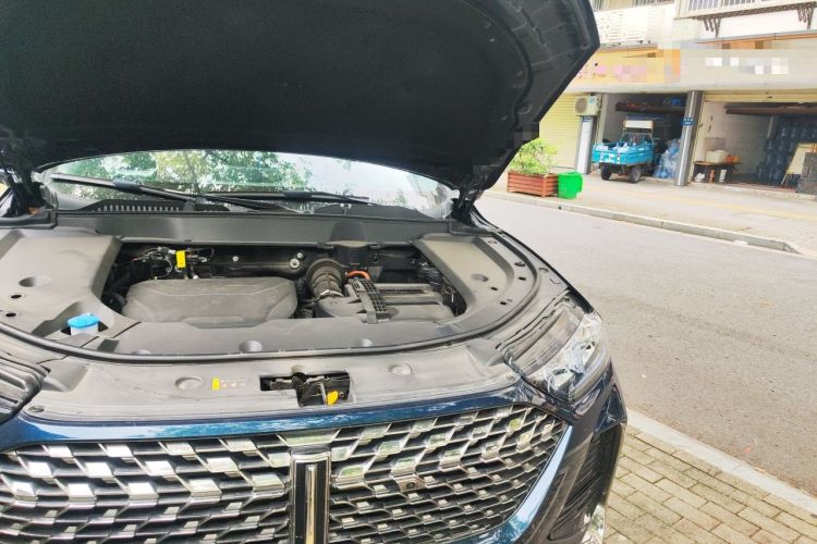 Used Wey Latte DHT-PHEV 2022 1.5T Four-Wheel Drive Extra-Large Version Engine Bay Left
