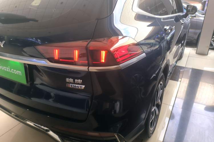 Used Wey Latte DHT-PHEV 2022 1.5T Four-Wheel Drive Extra-Large Version Exterior 3