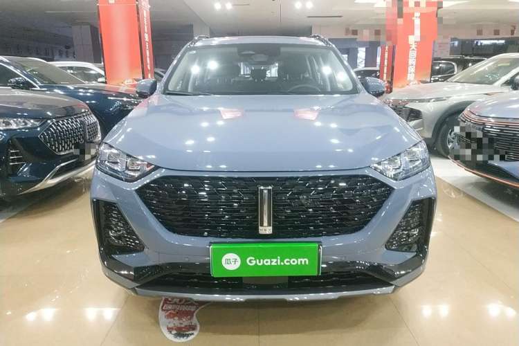 Used Wey Latte DHT-PHEV 2022 1.5T Two-Wheel-Drive Extra-Large Version Front