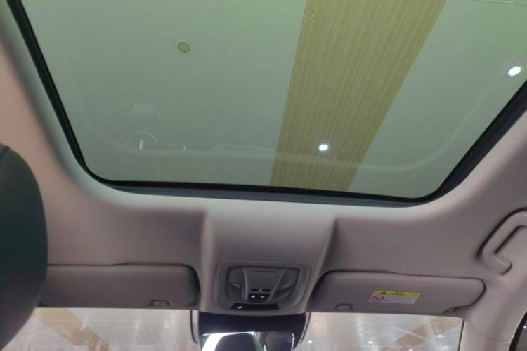 Used Wey Latte DHT-PHEV 2022 1.5T Four-Wheel Drive Extra-Large Version Headliner