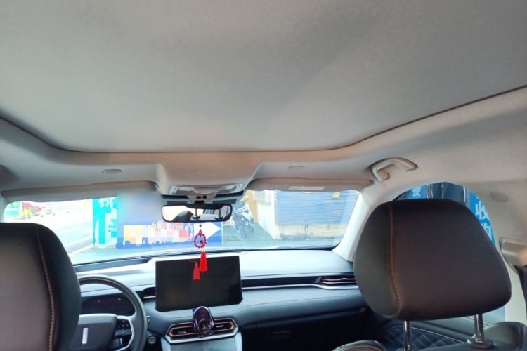 Used Wey Latte DHT-PHEV 2022 1.5T Four-Wheel Drive Extra-Large Version Headliner