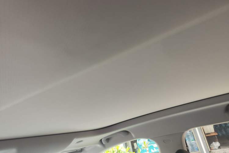 Used Wey Latte DHT-PHEV 2022 1.5T Four-Wheel Drive Extra-Large Version Headliner