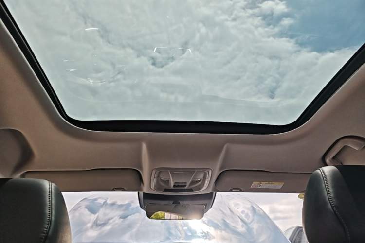 Used Wey Latte DHT-PHEV 2022 1.5T Two-Wheel Drive Big Cup Headliner