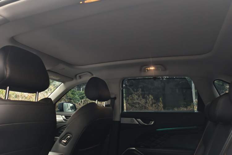 Used Wey Latte DHT-PHEV 2022 1.5T Two-Wheel-Drive Extra-Large Version Headliner