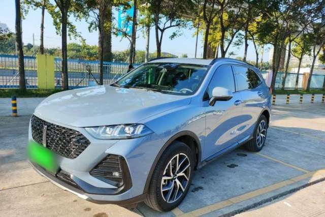 Used Wey Latte DHT-PHEV 2022 1.5T Two-Wheel-Drive Extra-Large Version