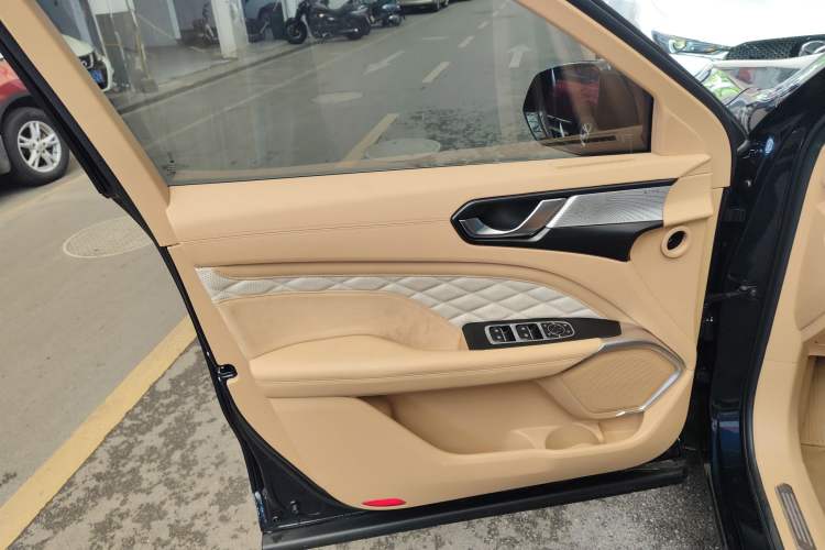 Used Wey Latte DHT-PHEV 2022 1.5T Four-Wheel Drive Extra-Large Version Left Front Door Interior