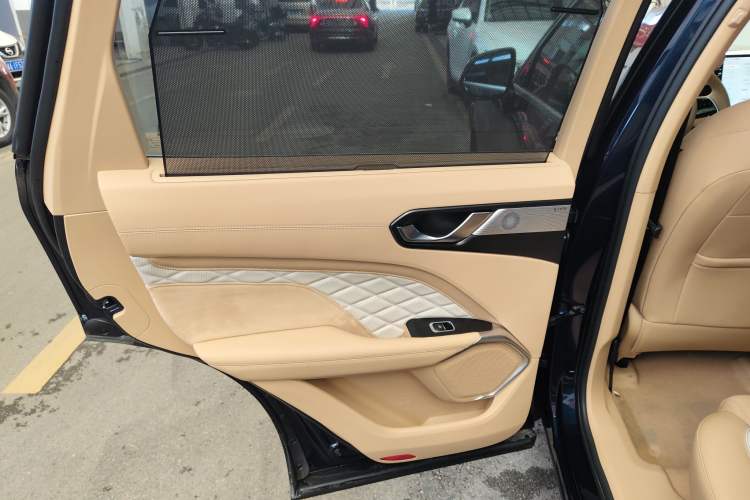 Used Wey Latte DHT-PHEV 2022 1.5T Four-Wheel Drive Extra-Large Version Left Rear Door Interior