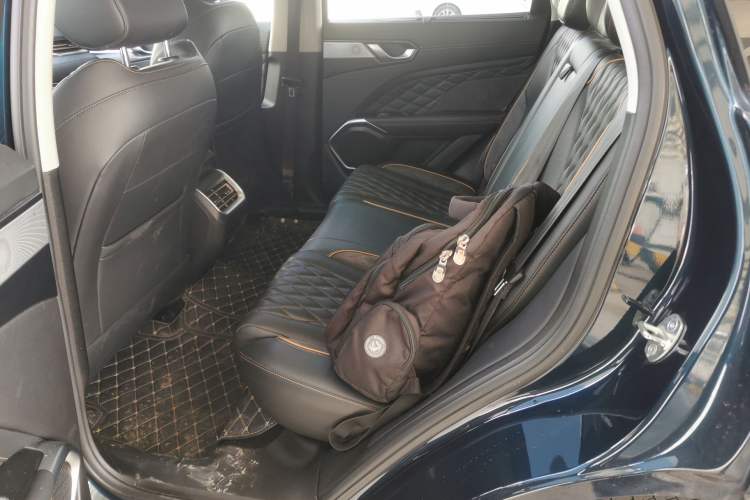 Used Wey Latte DHT-PHEV 2022 1.5T Four-Wheel Drive Extra-Large Version Left Rear Seat