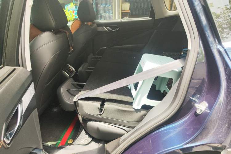Used Wey Latte DHT-PHEV 2022 1.5T Four-Wheel Drive Extra-Large Version Left Rear Seat