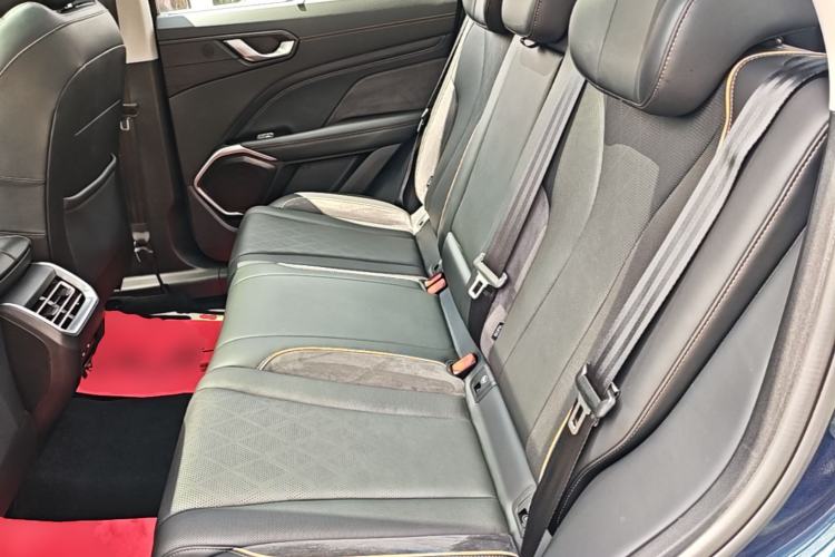 Used Wey Latte DHT-PHEV 2022 1.5T Two-Wheel Drive Big Cup Left Rear Seat