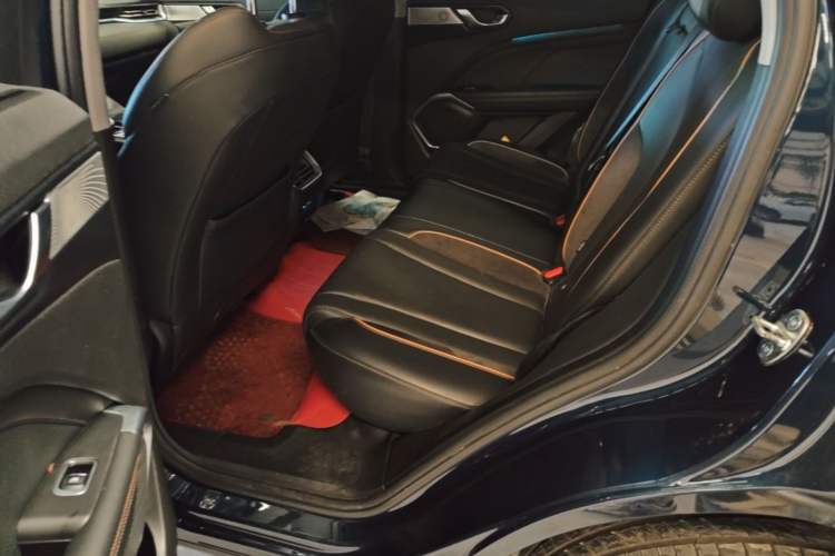 Used Wey Latte DHT-PHEV 2022 1.5T Two-Wheel-Drive Extra-Large Version Left Rear Seat