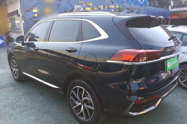 Used Wey Latte DHT-PHEV 2022 1.5T Four-Wheel Drive Extra-Large Version Left Side