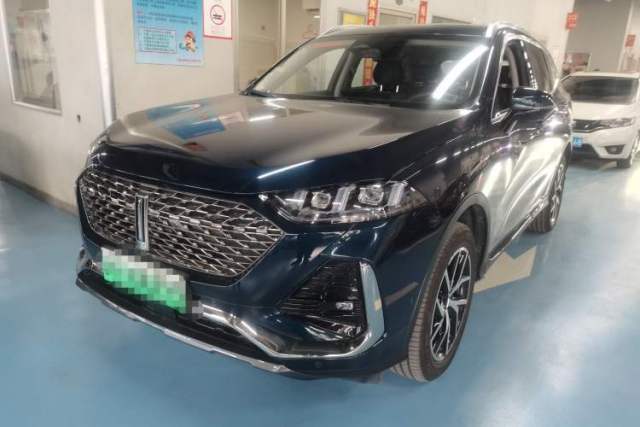 Used Wey Latte DHT-PHEV 2022 1.5T Two-Wheel-Drive Extra-Large Version