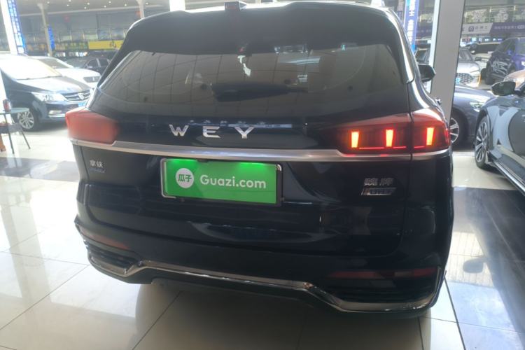 Used Wey Latte DHT-PHEV 2022 1.5T Four-Wheel Drive Extra-Large Version Rear