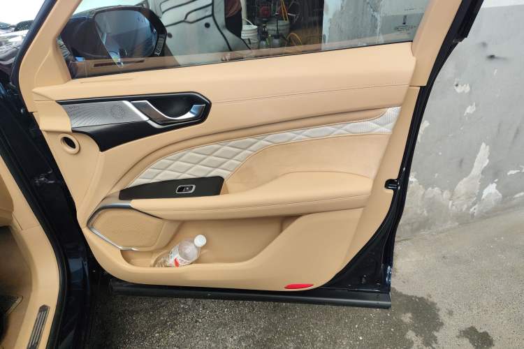 Used Wey Latte DHT-PHEV 2022 1.5T Four-Wheel Drive Extra-Large Version Right Front Door Interior