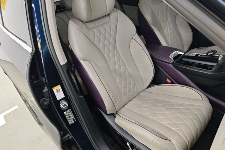 Used Wey Latte DHT-PHEV 2022 1.5T Four-Wheel Drive Extra-Large Version Right Front Seat