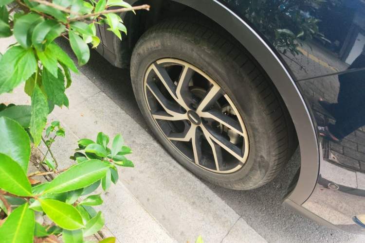 Used Wey Latte DHT-PHEV 2022 1.5T Four-Wheel Drive Extra-Large Version Right Front Wheel Hub