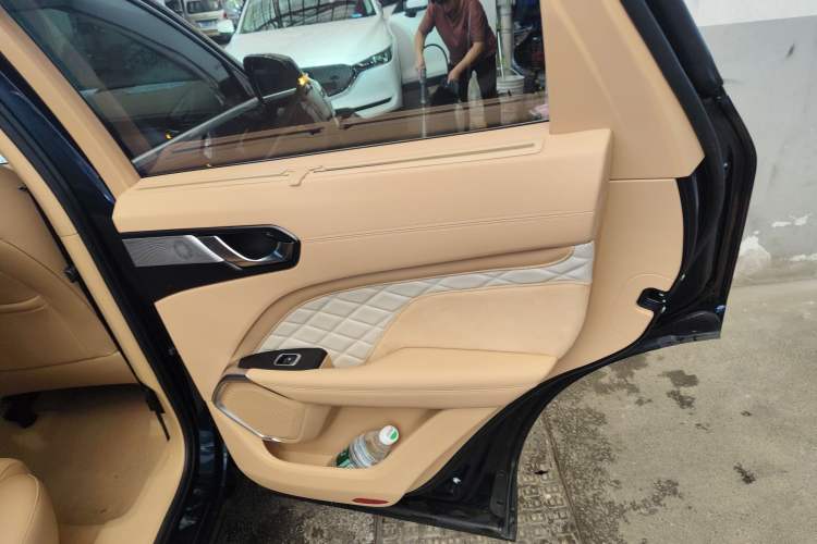 Used Wey Latte DHT-PHEV 2022 1.5T Four-Wheel Drive Extra-Large Version Right Rear Door Interior