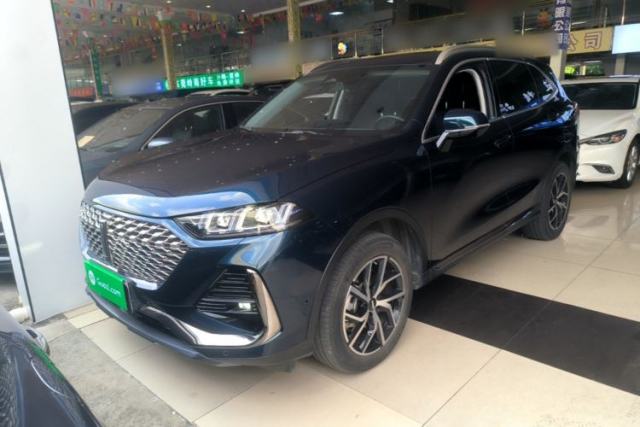 Used Wey Latte DHT-PHEV 2022 1.5T Four-Wheel Drive Extra-Large Version