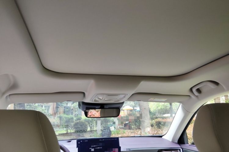 Used Wey Latte DHT-PHEV 2022 1.5T Two-Wheel Drive Big Cup Headliner