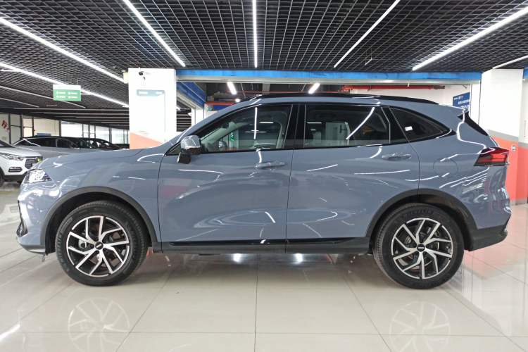 Used Wey Latte DHT-PHEV 2022 1.5T Two-Wheel-Drive Extra-Large Version Left Side