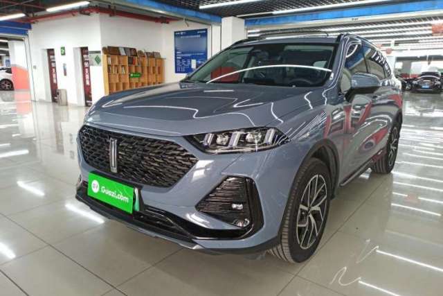 Used Wey Latte DHT-PHEV 2022 1.5T Two-Wheel-Drive Extra-Large Version