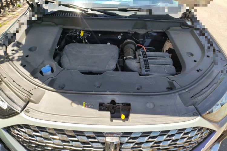 Used Wey Latte DHT-PHEV 2022 1.5T Two-Wheel-Drive Extra-Large Version Engine Bay