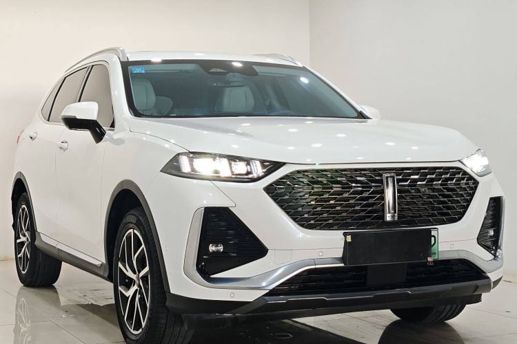 Used Wey Latte DHT-PHEV 2022 1.5T Two-Wheel-Drive Extra-Large Version Exterior 2