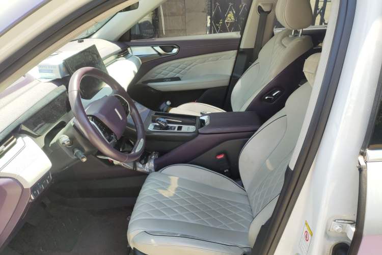 Used Wey Latte DHT-PHEV 2022 1.5T Two-Wheel-Drive Extra-Large Version Left Front Seat