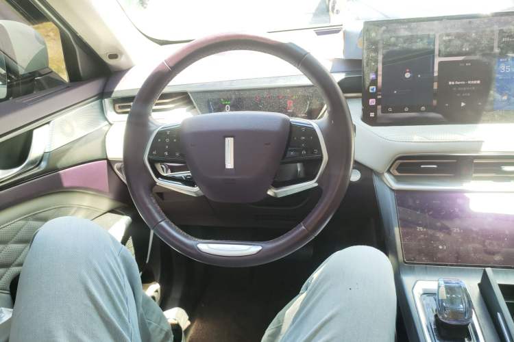 Used Wey Latte DHT-PHEV 2022 1.5T Two-Wheel-Drive Extra-Large Version Steering Wheel