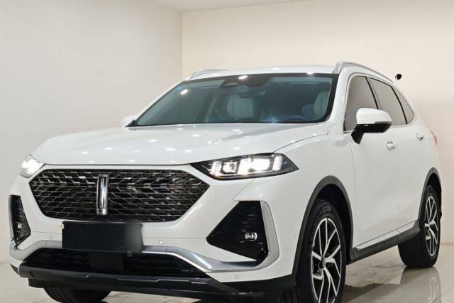 Used Wey Latte DHT-PHEV 2022 1.5T Two-Wheel-Drive Extra-Large Version