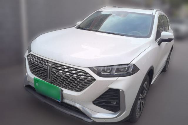 Used Wey Latte DHT-PHEV 2022 1.5T Two-Wheel-Drive Extra-Large Version