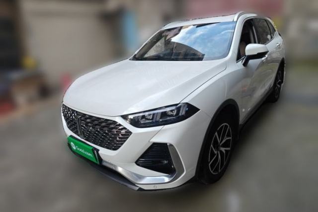Used Wey Latte DHT-PHEV 2022 1.5T Two-Wheel Drive Big Cup