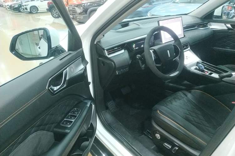 Used Wey Latte DHT-PHEV 2022 1.5T Four-Wheel Drive Extra-Large Version Driver Seat