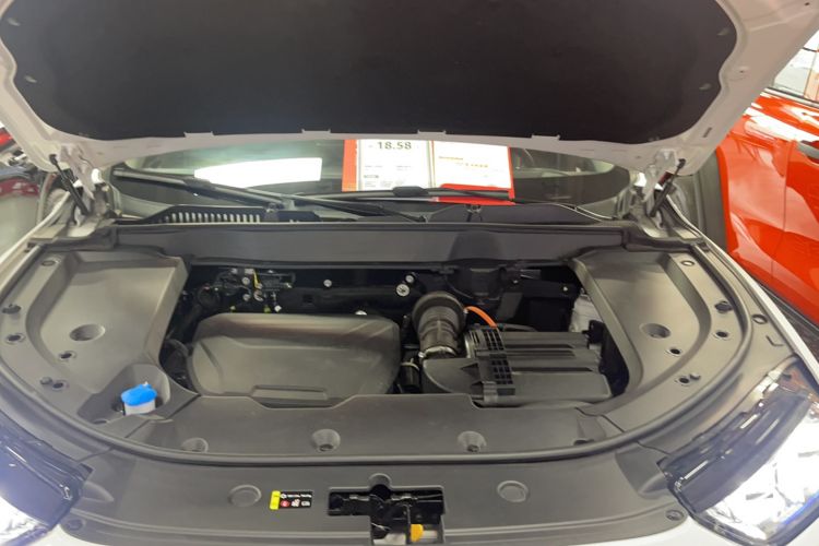Used Wey Latte DHT-PHEV 2022 1.5T Four-Wheel Drive Extra-Large Version Engine Bay
