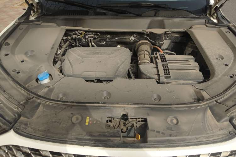 Used Wey Latte DHT-PHEV 2022 1.5T Two-Wheel-Drive Extra-Large Version Engine Bay