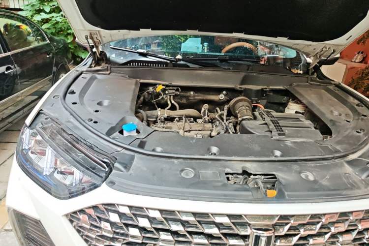 Used Wey Latte DHT-PHEV 2022 1.5T Two-Wheel-Drive Extra-Large Version Engine Bay Right
