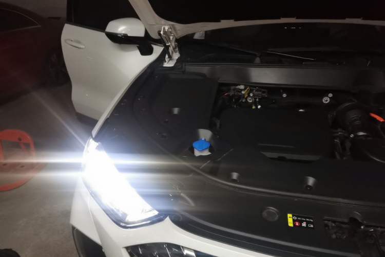 Used Wey Latte DHT-PHEV 2022 1.5T Four-Wheel Drive Extra-Large Version Engine Bay Right