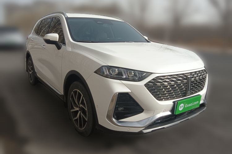 Used Wey Latte DHT-PHEV 2022 1.5T Two-Wheel-Drive Extra-Large Version Exterior 2