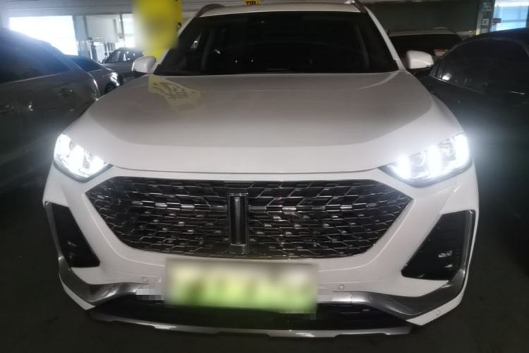 Used Wey Latte DHT-PHEV 2022 1.5T Two-Wheel-Drive Extra-Large Version Front