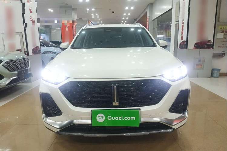 Used Wey Latte DHT-PHEV 2022 1.5T Four-Wheel Drive Extra-Large Version Front